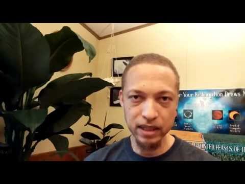 download lagu mp3 mp4 Rapture Swingers, download lagu Rapture Swingers gratis, unduh video klip Rapture Swingers