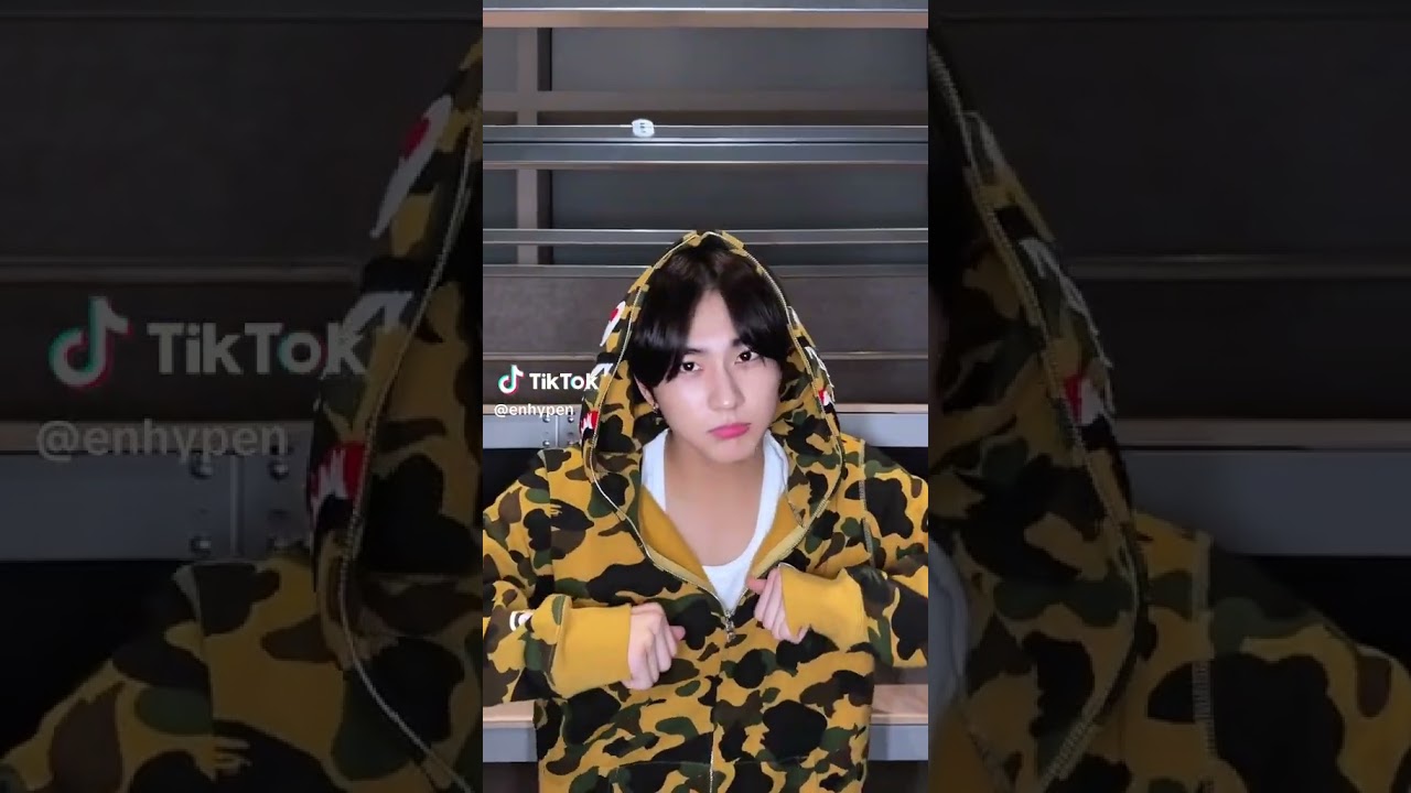 [ENHYPEN TIKTOK UPDATE] A good cat 😺 #jungwon#enhypen#romance_untold#kpop#shorts#fyp#viral#fypシ゚