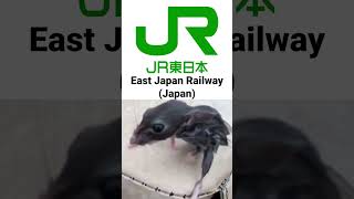 Download lagu Jingle Stasiun Kereta Api dari Berbagai Negara (Bagian 2) mp3 Download lagu Jingle Stasiun Kereta Api dari Berbagai Negara (Bagian 2) mp3