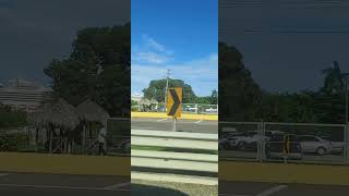 Flori on the go.... 💃 ❤️ 🌷 ⛱️ 🛳 🌇 #youtubeshorts #travel #ytshorts #trending #viral #cruise #fun