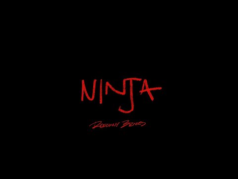 Miniatura de NINJA