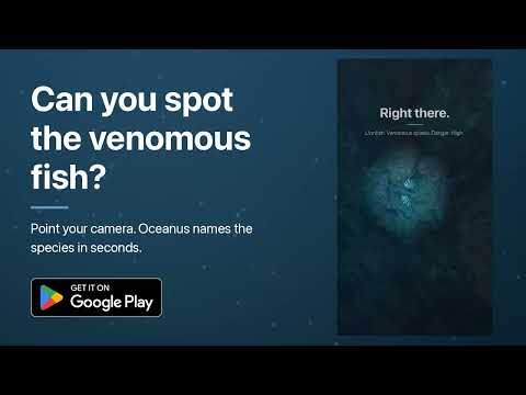 Oceanus: Scuba Diving Logbook video thumbnail