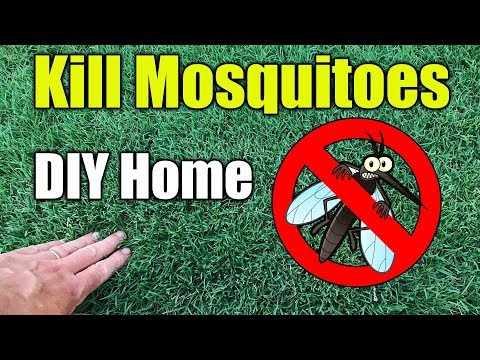 image-What is the best homemade mosquito repellent for the yard?