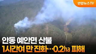 안동 예안면 산불 1시간여 만에 진화…0.2㏊ 피해 / 연합뉴스TV (YonhapnewsTV)