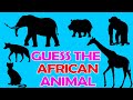 ANIMAL SHADOWS African Animals KIDS LEARN