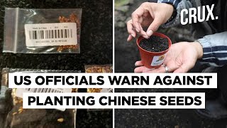 Farmers Across US And UK Receive Mysterious Packets Of Chinese Seeds | DOWNLOAD THIS VIDEO IN MP3, M4A, WEBM, MP4, 3GP ETC