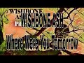WISHBONE ASH - Where Were You Tomorrow (Lyric Video)