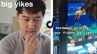 how PetSmart catches your pet fish | Fish Tank Review 252