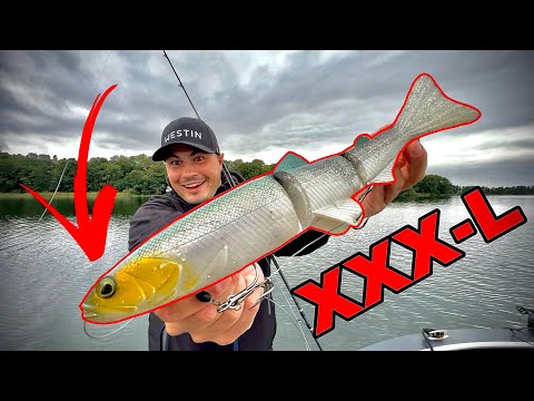 XXX-L rubber fish is supposed to catch GIANT pike! (it's going to be amazing!!)