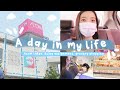 a day in my life as an management student (MSU Vlog) 👩🏻‍💼💼
