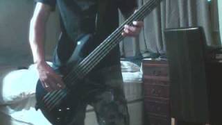 the stills-changes are no good(bass cover)