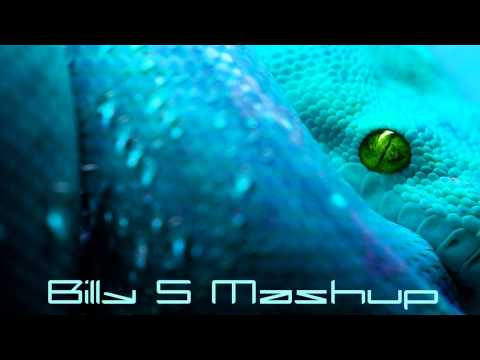 Blasterjaxx feat. Miley Cyrus - Snake Ball (Billy S Mashup)