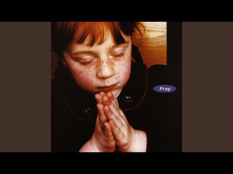 Thumbnail for Flower In Full Bloom video