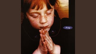 Flower In Full Bloom