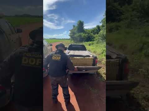 Guia Lopes da Laguna : DOF apreende quase 1 tonelada de maconha em veículo as margens de vicinal