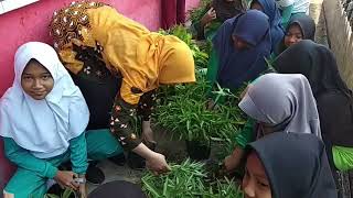 Download lagu VIDEO P5 SD N PUCANG SECANG mp3 Download lagu VIDEO P5 SD N PUCANG SECANG mp3