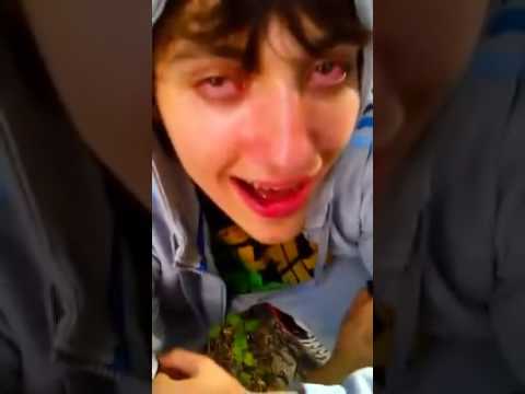 Cuando andas bien grifo xD