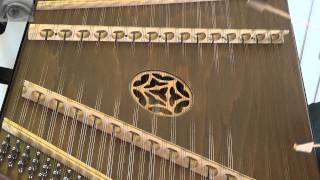 Forces Of Attraction - The Theory Of Everything (hammered dulcimer/Hackbrett cover)