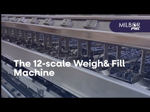The 12-scale Weigh&Fill Machine for blueberries | Milbor PMC