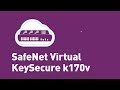 Gemalto's SafeNet Virtual KeySecure k170v