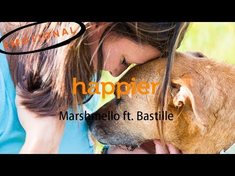 Happier - Marshmello ft. Bastille (music video) | Emotional video of Dog