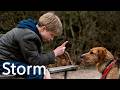 Storm Full Movie Free