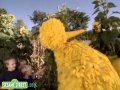 Sesame Street Big Bird Visits A Farm