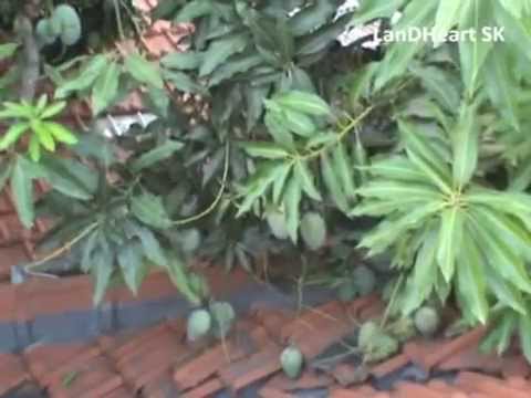 Angin Malam - Vetty Vera