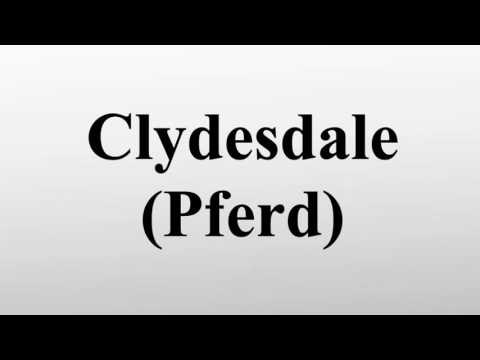 , title : 'Clydesdale (Pferd)'