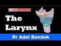Anatomy of the Larynx (Cartilages, Membranes, Cavity, Muscles, Nerve & Blood Supply), Dr Adel Bondok