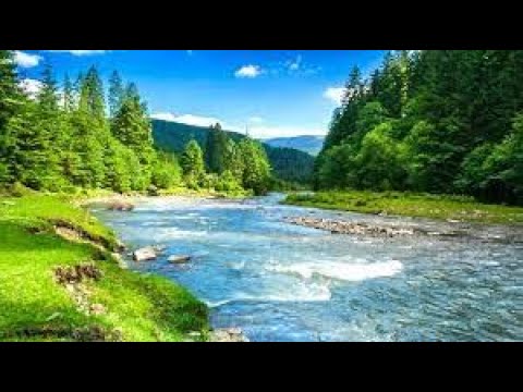 Amazing Colors of Spring Flowers and Fall Leaves - 4K Nature