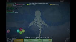 Dinosaur Simulator Megalodon Vs Megavore मफत - roblox dinosaur simulator megavore battles is it good