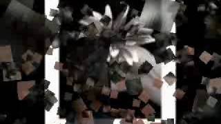 SHOLA AMA I DONT KNOW WHY