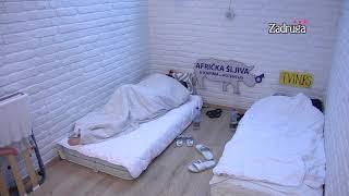 Zadruga 3 - PREGAZILA SVOJE REČI: Dragana ponovo pustila Tomovića u postelju - 13.12.2019. video