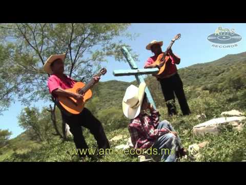 Los Jilgueros del Pico Real - El Gueyerito (Video)