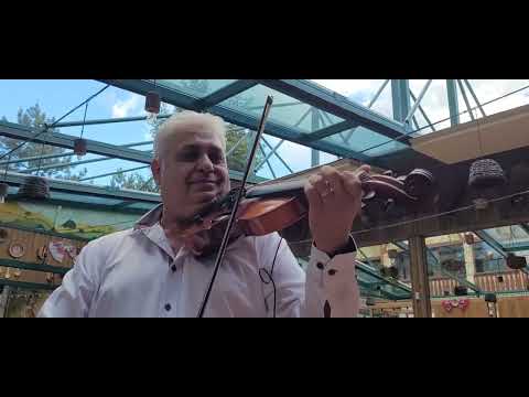 Muzica de petrecere cu Marian Alexandru