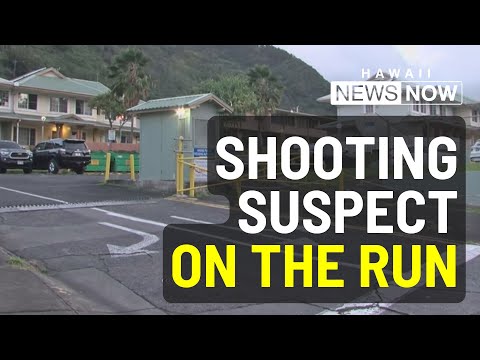 Investigation underway after man shot in Kalihi Valley