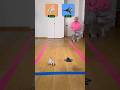1 Vs 1 000 RC Car