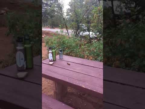 Views from our site-quite dry after a night a stormy night. 