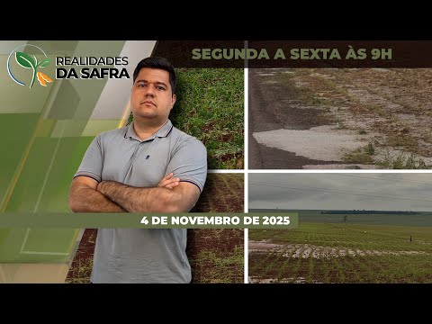 Região de Doutor Camargo/PR também foi afetada pelo temporal e Faep recomenda rapidez para produtore
