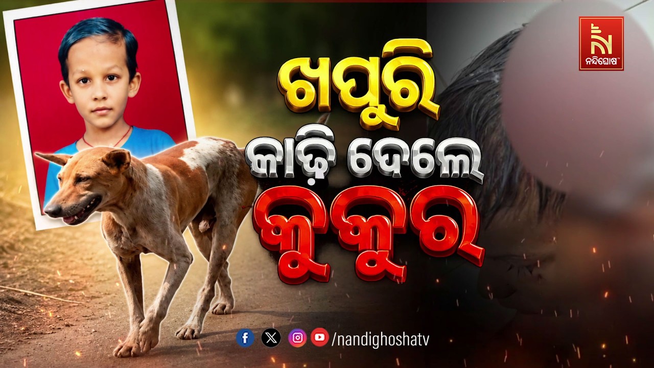 🔴Live | ଖପୁରି କାଢ଼ି ଦେଲେ କୁକୁର