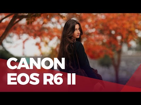 Canon EOS R6 Mark ii RF85mm F1.2 L Portraits