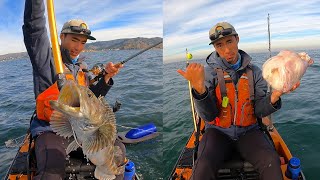DOUBLE LIMIT - Thanksgiving Day Turkey Lingcod/Crab Special