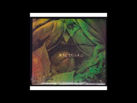 Serena Assumpção - Ascensão