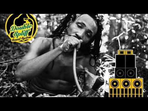 DOUBLE SPLIFF SOUND SYSTEM  " Blessed Mix "