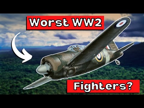 Were The Brewster F2A 'Buffalo' & Fiat CR.42 'Falco' REALLY Terrible WW2 Fighters?