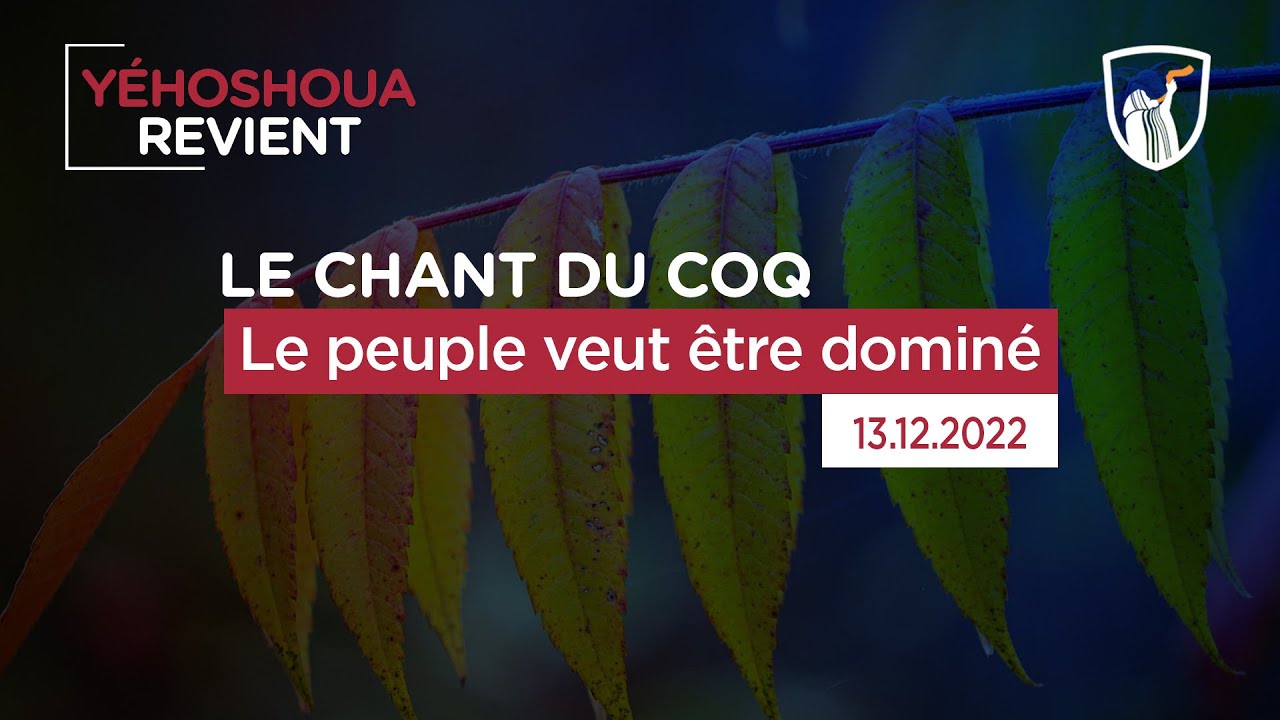 Thumbnail of video: Le peuple veut être dominé