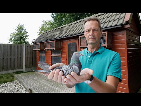 National winners ZLU 2019 - Agen: Bert Prasing, Lelystad (Eng sub)