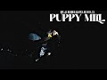 PUPPY MILL (TX)