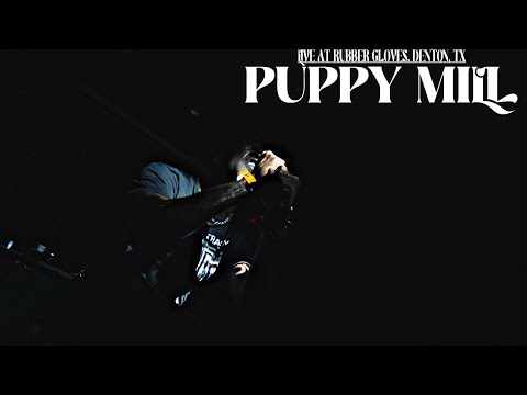 PUPPY MILL (TX) video
